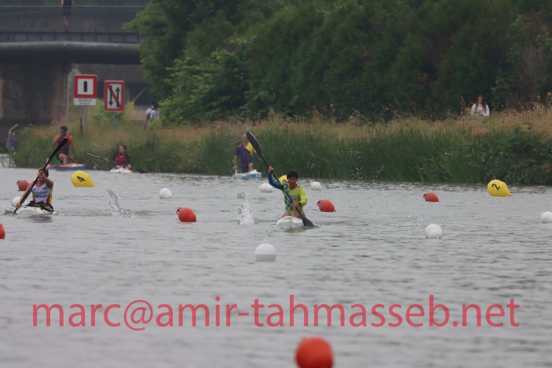 IMG 7374