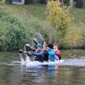 IMG 7981