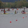 IMG 9816