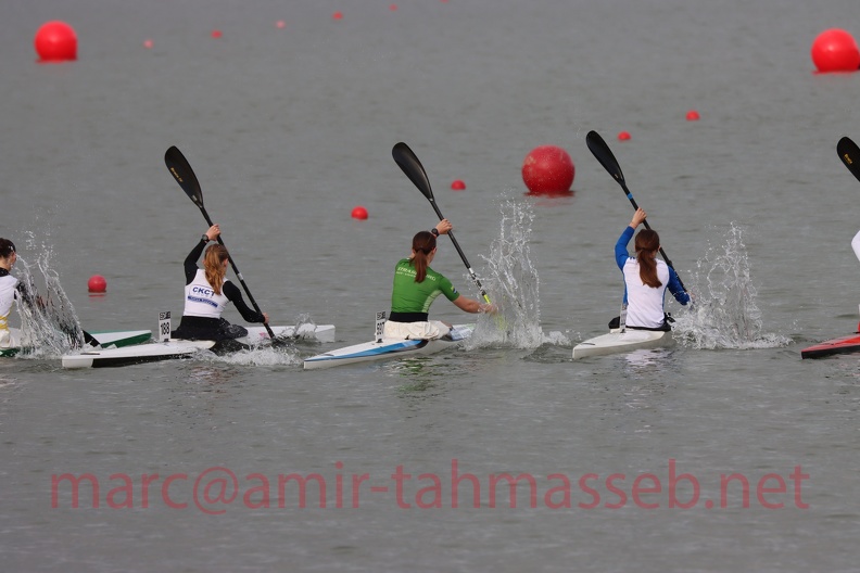 IMG 9856