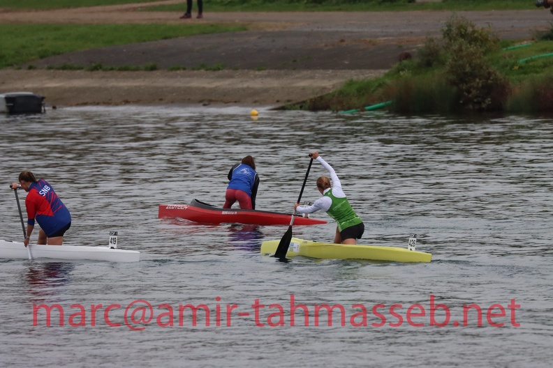 IMG 7731