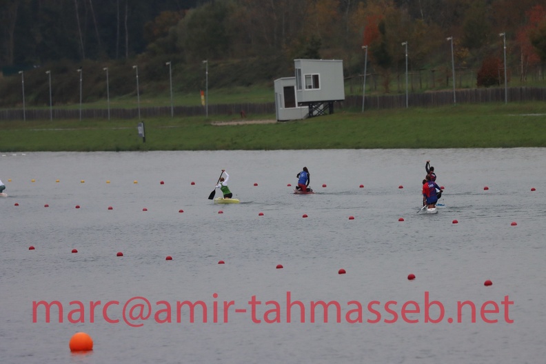 IMG 7736