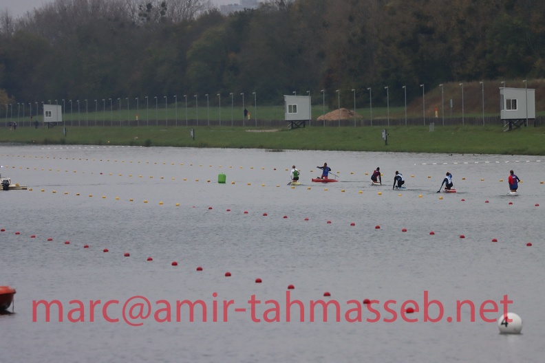 IMG 7746