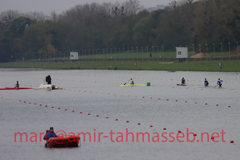 IMG 7754