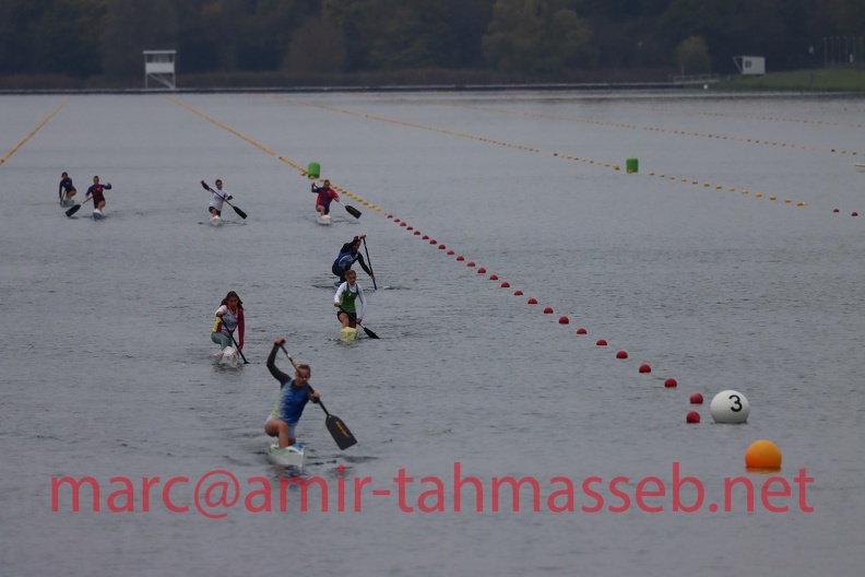 IMG 7796