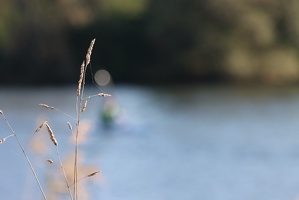 IMG 6596