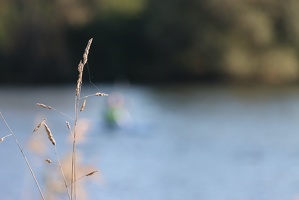 IMG 6597