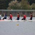 IMG 0816