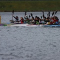 IMG 0679