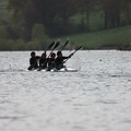 IMG 0687