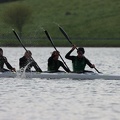 IMG 0691