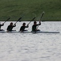 IMG 0694