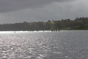 IMG 0945