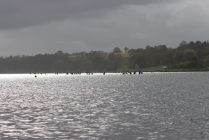 IMG 0946