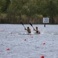 IMG 4633