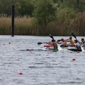 IMG 4638