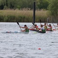IMG 4640