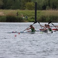 IMG 4641
