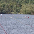 IMG 4685