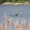 IMG 4690