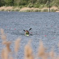 IMG 4691