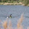 IMG 4692