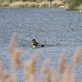 IMG 4693