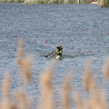 IMG 4694