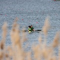 IMG 4696