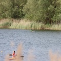 IMG 4698