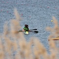 IMG 4700