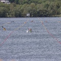 IMG 4703