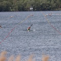 IMG 4704