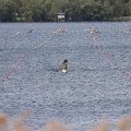 IMG 4707