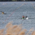 IMG 4709