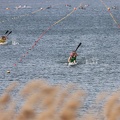 IMG 4710