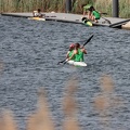 IMG 4716