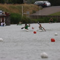 IMG 7742
