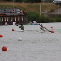 IMG 7746