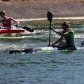 IMG 0935 (793 visites) IMG 0935