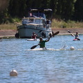 IMG 0948 (680 visites) IMG 0948