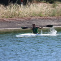 IMG 0955 (578 visites) IMG 0955