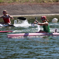 IMG 0979 (595 visites) IMG 0979