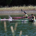 IMG 0990 (558 visites) IMG 0990