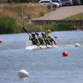 IMG 0831 (384 visites) IMG 0831