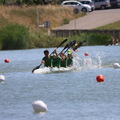 IMG 0832 (404 visites) IMG 0832