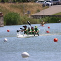 IMG 0833 (390 visites) IMG 0833