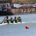 IMG 0851 (384 visites) IMG 0851