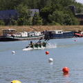 IMG 0865 (334 visites) IMG 0865