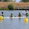 IMG 0887 (385 visites) IMG 0887
